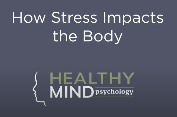 How stress impacts the body