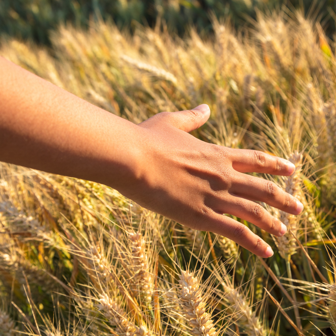 exploring and freedom