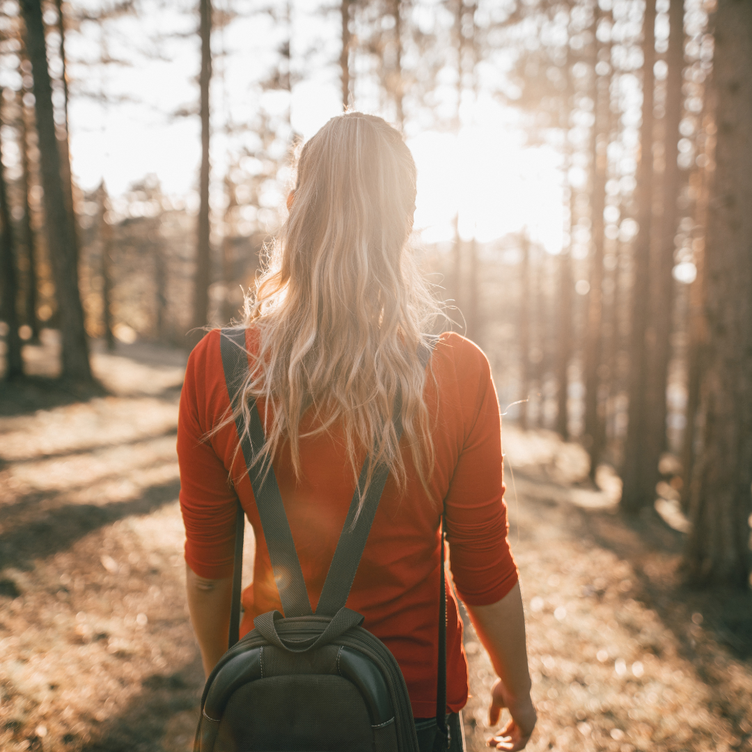 Understanding Internal Family Systems (IFS): A Journey to Healing and Wholeness